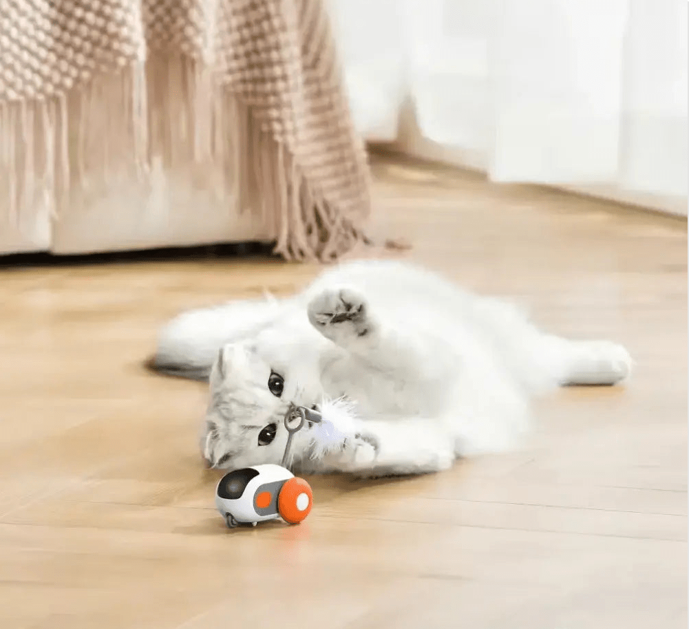 Turbo Tail 2.0 - PurePath™ Toys