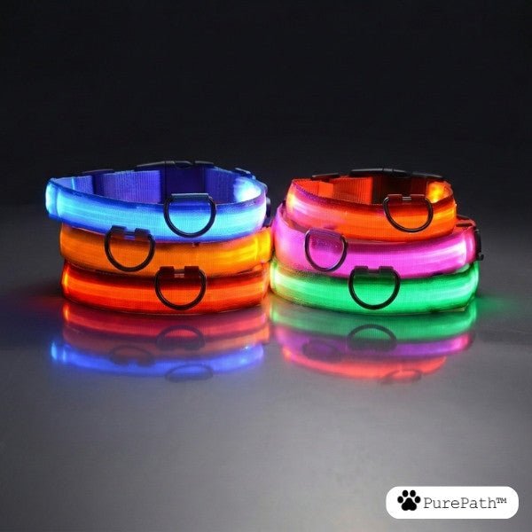 LED Pet Collar - PurePath™