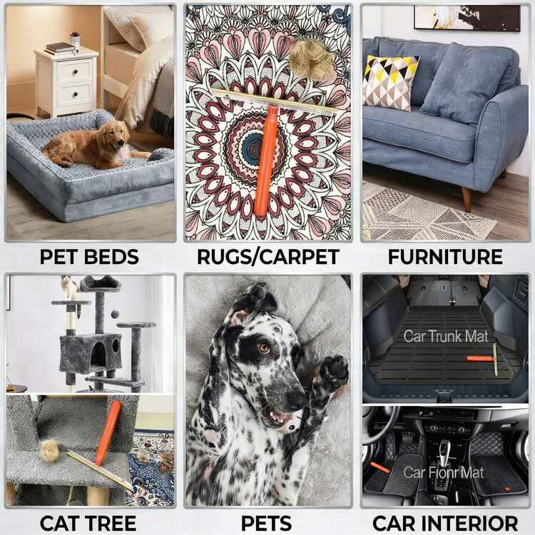 Large Scraper - PurePath™