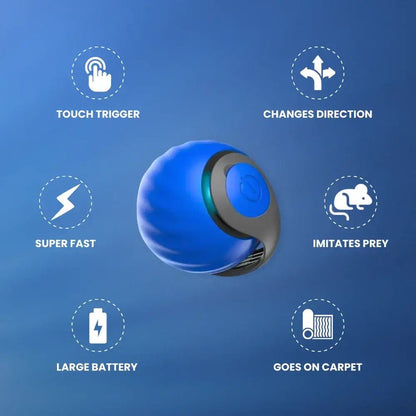 Speedy Tail 2.0 - PurePath™ Toys
