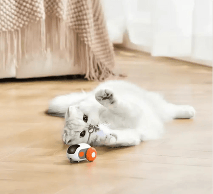 Turbo Tail 2.0 - PurePath™ Toys